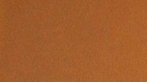 María Conchita Alonso | Mezcalent.