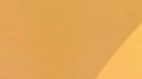 Alicia Machado | Mezcalent.