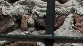 Eva Longoria | Mezcalent.