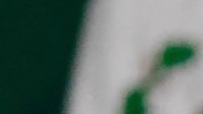 AMLO garantiza protección del Estado a Mario Aburto, asesino de Colosio si brinda otra versión del caso y comprueba tortura