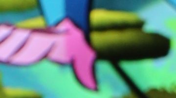 Adamari López deja su abdomen al descubierto y le señalan nuevamente por una supuesta operación.