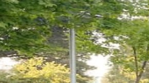 Anjali Ryot. jovencita influencer que trabajaba en LinkedIn y que murió en balacera en Tulum.