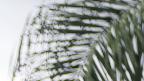 Brian Laundrie utilizó la tarjeta bancaria de su novia, tres días después de que desapareció