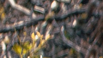 Foto de la Ford Bronco 2021 en exteriores