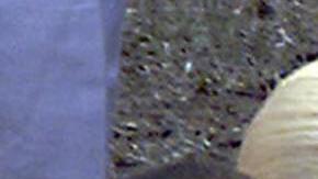 ASUNCION, PARAGUAY:  Cecilia Cubas aunt holds a portrait of her niece during Cecilia's burial at the Italian cemetery in Asuncion, 18 February 2005. Five months after she was kidnapped, police found her body buried in a tunnel under a house outside Asuncion. AFP PHOTO str  (Photo credit should read STR/AFP via Getty Images)