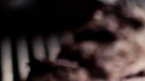 carne en la parrilla