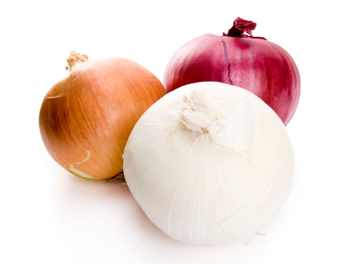 CDC alerts of salmonellosis outbreak caused by onions imported from Mexico
