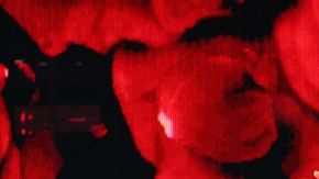 Carolina Laursen y David Chocarro