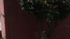 Ataque a empresario en Ciudad de México.