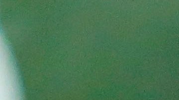 Diego Cocca, técnico de Atlas.