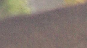 Dos muertos después de que un avión y un helicóptero chocaran en el aire en Arizona