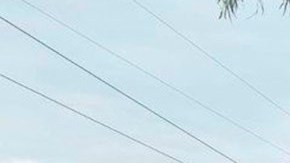 Los coyotes transportan a migrantes en contenedores, despreciando sus vidas.