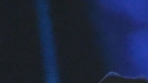 Calibre 50 | Ethan Miller/Getty Images for LARAS