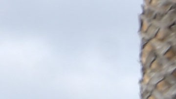 People ride their bikes under the freeway overpass in car-free streets during a CicLAvia event in Culver City on March 3, 2019. - CicLAvia is a non-profit organization that hosts events where people can bike, walk, skate and stroll on car-free streets. (Photo by Chris Delmas / AFP) (Photo credit should read CHRIS DELMAS/AFP via Getty Images)