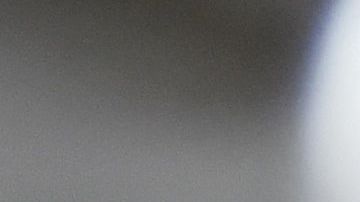 Mono lanza un ladrillo desde segundo piso y mata a un hombre en la India