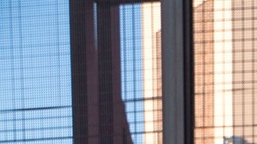 La política Permanecer en México impactó a más de 60,000 inmigrantes, según activistas.