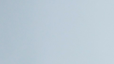 Eugenio Derbez defiende su estatua en Acapulco