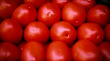 CBP impedirá el paso de cierto jitomate y tomate mexicano.