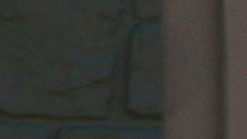 Inmigración de clase media