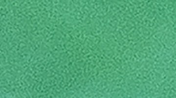 Surfista fue atacado por un tiburón en una playa del norte de California