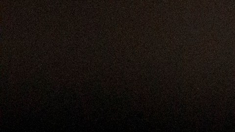 BURLINGTON, IA - AUGUST 07: Democratic presidential candidate and former U.S. Vice President Joe Biden delivers remarks about White Nationalism during a campaign press conference on August 7, 2019 in Burlington, Iowa. (Photo by Tom Brenner/Getty Images)