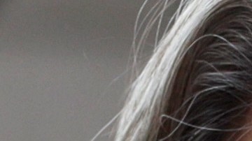 Bannon se negó a declarar siguiendo el aviso de abogados de Trump.