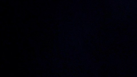 Billie Eilish participará en concierto de "El Extraño Mundo de Jack"