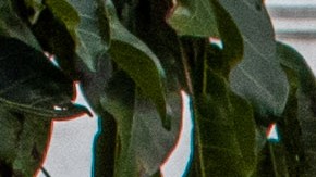 A homeless person sleeps at MacArthur Park Los Angeles, California on March 19, 2020. - All residents of California were ordered to stay at home March 19, 2020, in a bid to battle the coronavirus pandemic in the most populous state in the US. Los Angeles residents were ordered to stay at home by the city's mayor Eric Garcetti on Thursday in a bid to battle the coronavirus pandemic. (Photo by Apu GOMES / AFP) (Photo by APU GOMES/AFP via Getty Images)