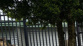 Palillos de salami podrían contener salmonelosis, alertan los CDC.