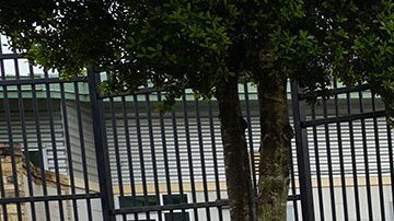 Palillos de salami podrían contener salmonelosis, alertan los CDC.