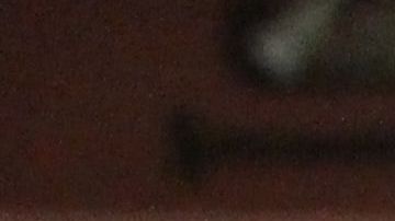 Google anuncia el Pixel 6 y Pixel 6 Pro a partir de $599 dólares disponibles el 28 de octubre-GettyImages-12162033571.jpg