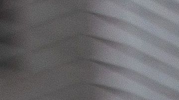 El incidente movilizó a numerosos oficiales del LAPD en el centro de Los Ángeles. Foto de archivo.