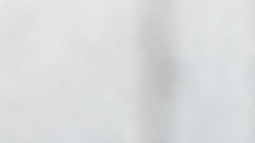 Steve Bannon fue acusado de desacato criminal.