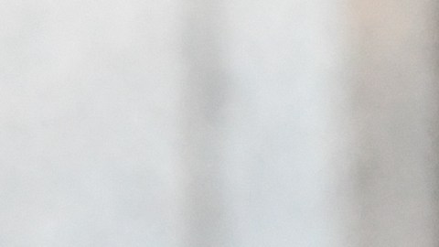 Steve Bannon fue acusado de desacato criminal.