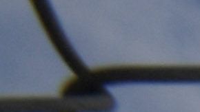 Daina Monroe se suma a la lista de víctimas a mano armada sin sentido en Los Ángeles. Foto de archivo.