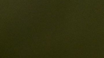 TOPSHOT - A protester holds up a placard at a demonstration against vaccinations and government restrictions designed to fight the spread of the novel coronavirus in London on October 17, 2020. (Photo by JUSTIN TALLIS / AFP) (Photo by JUSTIN TALLIS/AFP via Getty Images)