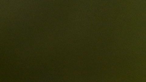 TOPSHOT - A protester holds up a placard at a demonstration against vaccinations and government restrictions designed to fight the spread of the novel coronavirus in London on October 17, 2020. (Photo by JUSTIN TALLIS / AFP) (Photo by JUSTIN TALLIS/AFP via Getty Images)