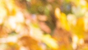 La vivienda de segunda mano incrementó sus precios en todo el país.