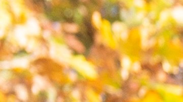 La vivienda de segunda mano incrementó sus precios en todo el país.