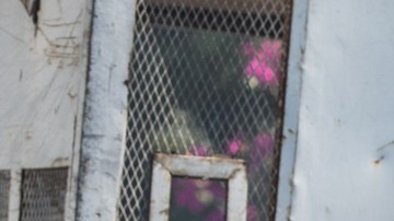 La violencia se ha extendido en Haití tras el asesinato de su presidente.