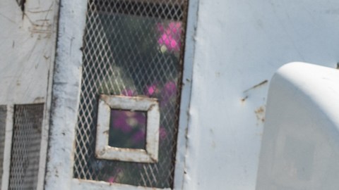 La violencia se ha extendido en Haití tras el asesinato de su presidente.