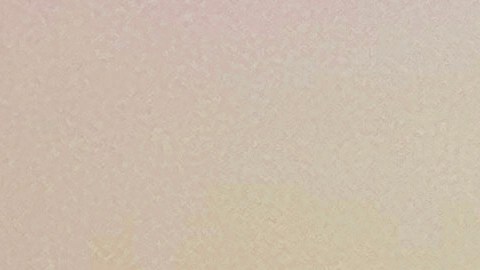 Para la Organización Mundial de la Salud, los líderes y representantes de las naciones deben actuar contra el cambio climático.