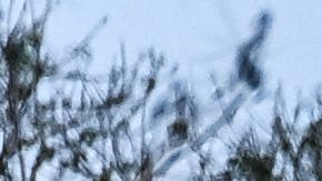 La región de Del Río en Texas está bajo una intensa llegada de inmigrantes, procedentes en su mayoría de México y Centroamérica.