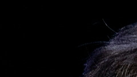 Elon Musk fue invitado a la conferencia de los ejecutivos de Volkswagen y sorprendió a todos-GettyImages-1231871790.jpg