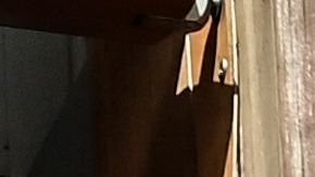 IBM capacitación a hispanos y latinos