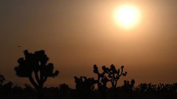 Autoridades meteorológicas indicaron que a pesar de que se prevén altas temperaturas el fin de semana en California, también estiman que luego habrá un enfriamiento constante.