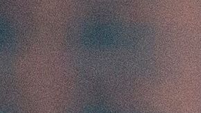 El compromiso de la Casa Blanca en la lucha por la equidad de género, dentro y fuera de Estados Unidos.