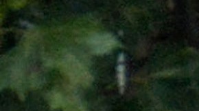 Las lluvias en China son comunes en esta época del año. Sin embargo, durante septiembre se registraron cantidades récord de agua en el país.