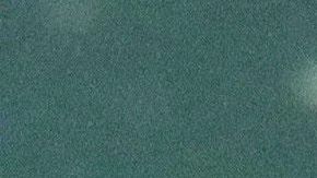 La proliferación de algas marinas dañinas en ríos y lagunas están afectando a los manatíes en Florida.