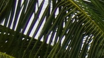 Territorio mexicano bajo las inclemencias del tiempo.